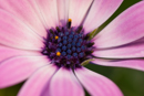 1/80 sec at f / 16 ISO 100