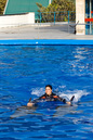 Dolphin Show - Barcelona Zoo