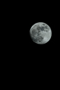1/125 sec at f / 8,0 ISO 400
