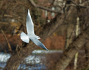 1/1250 sec at f / 5,0 ISO 200
